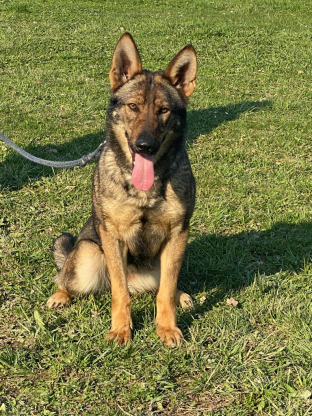 alt obrázku z admin