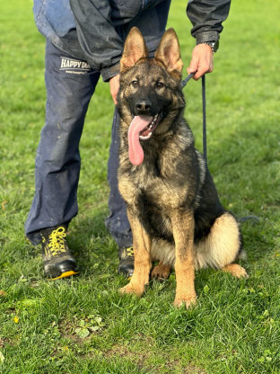 alt obrázku z admin