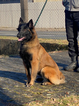 alt obrázku z admin