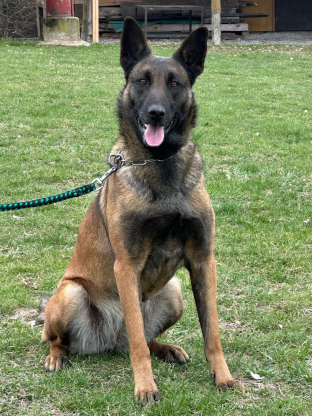 alt obrázku z admin