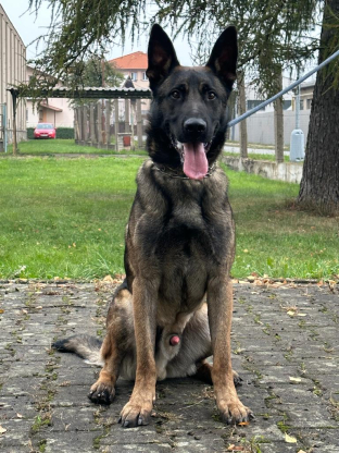 alt obrázku z admin