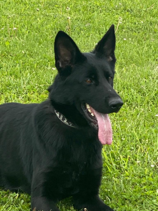 alt obrázku z admin