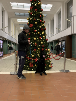 alt obrázku z admin