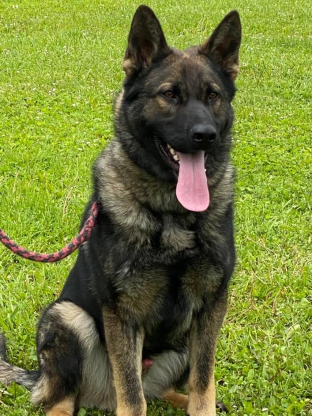 alt obrázku z admin