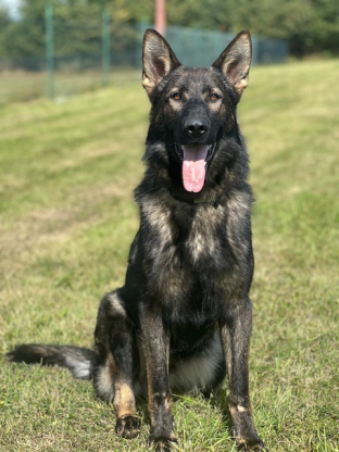 alt obrázku z admin