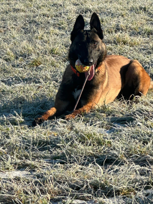 alt obrázku z admin