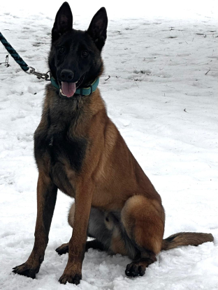 alt obrázku z admin