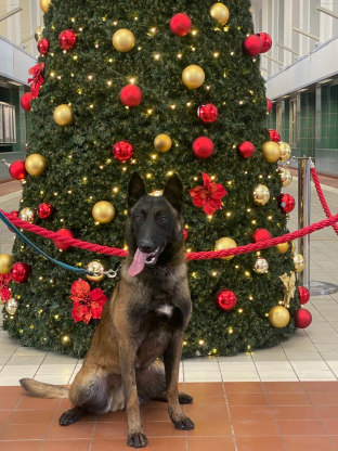 alt obrázku z admin