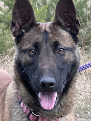 alt obrázku z admin