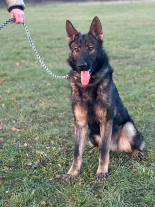 alt obrázku z admin