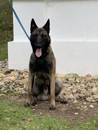 alt obrázku z admin