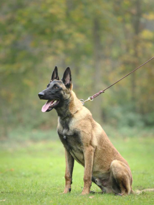 alt obrázku z admin