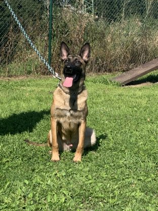 alt obrázku z admin