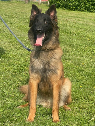 alt obrázku z admin