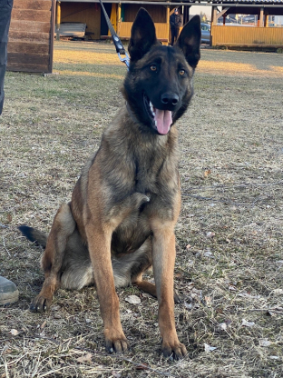 alt obrázku z admin