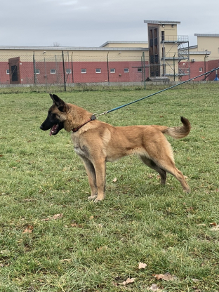 alt obrázku z admin