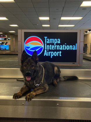 alt obrázku z admin