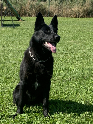 alt obrázku z admin