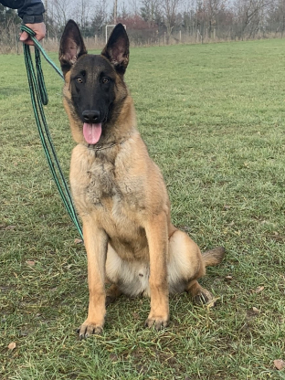 alt obrázku z admin