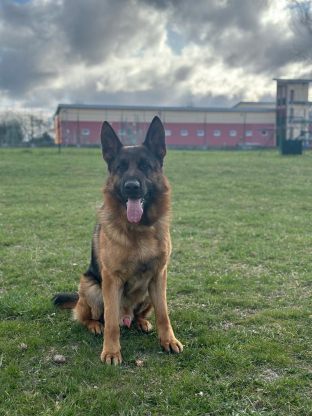 alt obrázku z admin