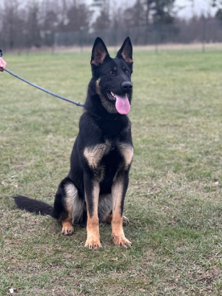 alt obrázku z admin