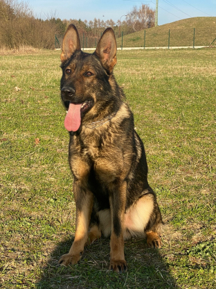 alt obrázku z admin