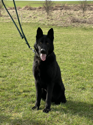 alt obrázku z admin