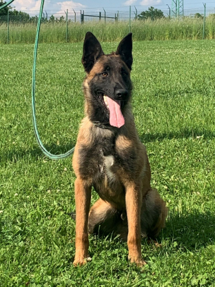 alt obrázku z admin