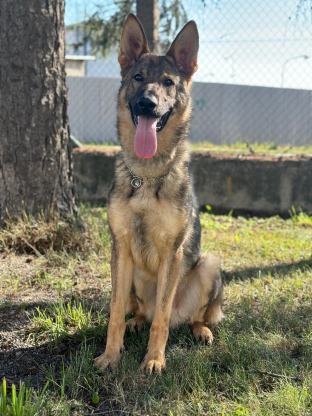 alt obrázku z admin