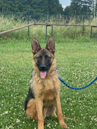 alt obrázku z admin