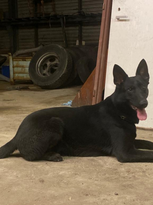 alt obrázku z admin