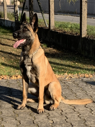 alt obrázku z admin